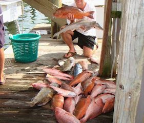 Tampa Bay FL Fishing Charters, Fishing Charters Tampa Bay FL, Deep Sea Fishing Tampa FL, Fishing Charters Tampa FL, Fishing Charter Tampa Bay FL, Tampa FL Fishing Boats, Deep Sea Fishing Tampa Bay FL