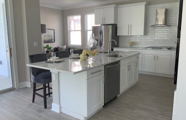 Euro Style Kitchen Cabinets and Vanity’s. ESCABINETRY
