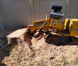 Right Choice Stump Grinding Service