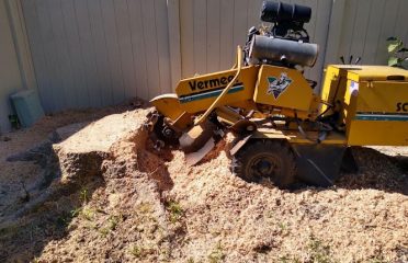 Right Choice Stump Grinding Service
