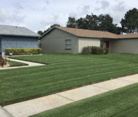Lawn Enforcement and Property Care, LLC