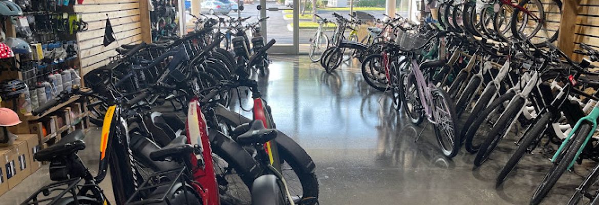 Motorcycle Dealers In Tampa FL, ATV Dealers Tampa FL, Horseback Riding Tampa FL, Tubing In Tampa FL, Motorcycle Dealers St. Petersburg FL, ATV Dealers St. Petersburg FL, Horseback Riding St. Petersburg FL, Tubing In St. Petersburg FL
