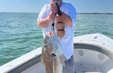 Tampa Bay FL Fishing Charters, Fishing Charters Tampa Bay FL, Deep Sea Fishing Tampa FL, Fishing Charters Tampa FL, Fishing Charter Tampa Bay FL, Tampa FL Fishing Boats, Deep Sea Fishing Tampa Bay FL