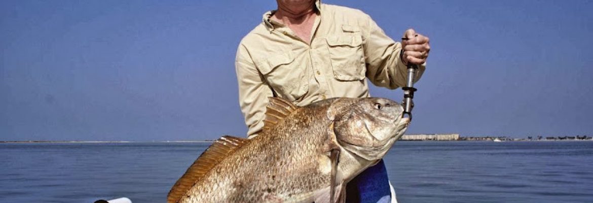 Tampa Bay FL Fishing Charters, Fishing Charters Tampa Bay FL, Deep Sea Fishing Tampa FL, Fishing Charters Tampa FL, Fishing Charter Tampa Bay FL, Tampa FL Fishing Boats, Deep Sea Fishing Tampa Bay FL