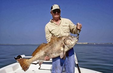 Tampa Bay FL Fishing Charters, Fishing Charters Tampa Bay FL, Deep Sea Fishing Tampa FL, Fishing Charters Tampa FL, Fishing Charter Tampa Bay FL, Tampa FL Fishing Boats, Deep Sea Fishing Tampa Bay FL