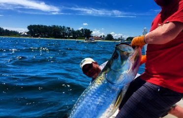 Tampa Bay FL Fishing Charters, Fishing Charters Tampa Bay FL, Deep Sea Fishing Tampa FL, Fishing Charters Tampa FL, Fishing Charter Tampa Bay FL, Tampa FL Fishing Boats, Deep Sea Fishing Tampa Bay FL