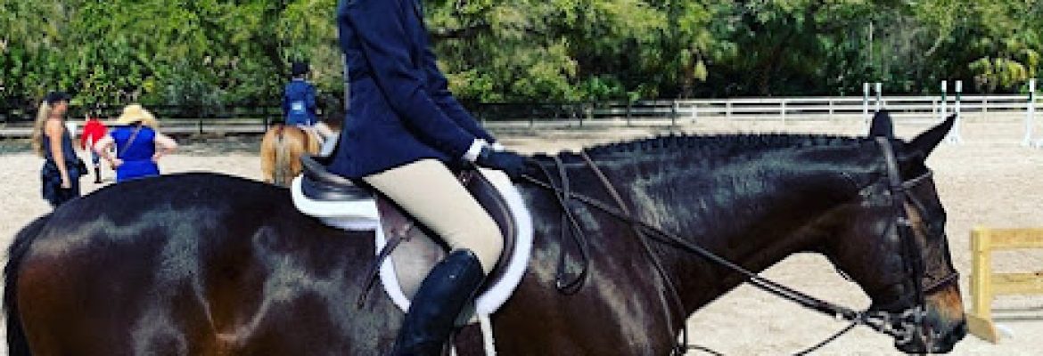 Premier Show Stable East