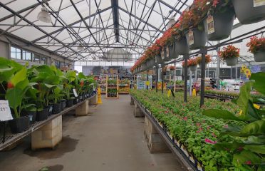 Lowe’s Garden Center