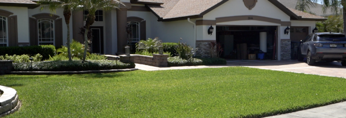 Home Pest Control Tampa Your Green Team