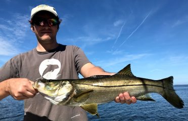 Tampa Bay FL Fishing Charters, Fishing Charters Tampa Bay FL, Deep Sea Fishing Tampa FL, Fishing Charters Tampa FL, Fishing Charter Tampa Bay FL, Tampa FL Fishing Boats, Deep Sea Fishing Tampa Bay FL