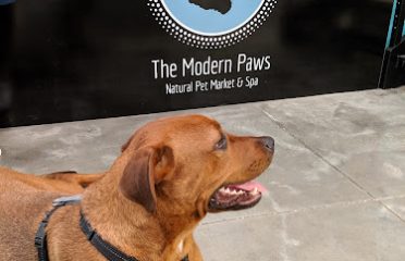 The Modern Paws