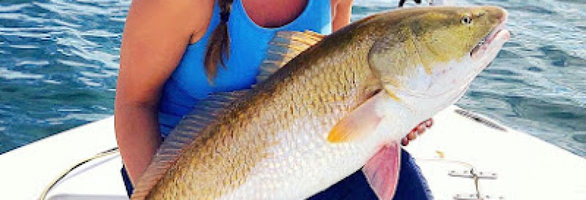 Tampa Bay FL Fishing Charters, Fishing Charters Tampa Bay FL, Deep Sea Fishing Tampa FL, Fishing Charters Tampa FL, Fishing Charter Tampa Bay FL, Tampa FL Fishing Boats, Deep Sea Fishing Tampa Bay FL
