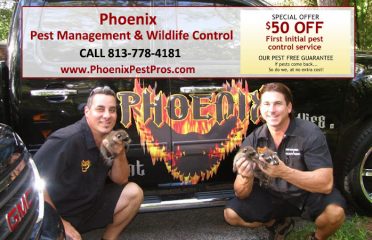 Phoenix Pest Management and Wildlife Control