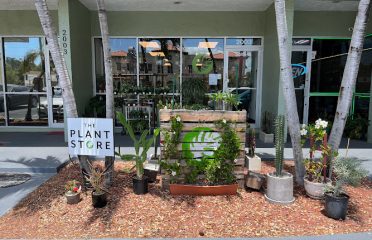 The Plant Store