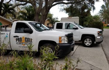 Pro2CaLL Termite & Pest Control, Clearwater