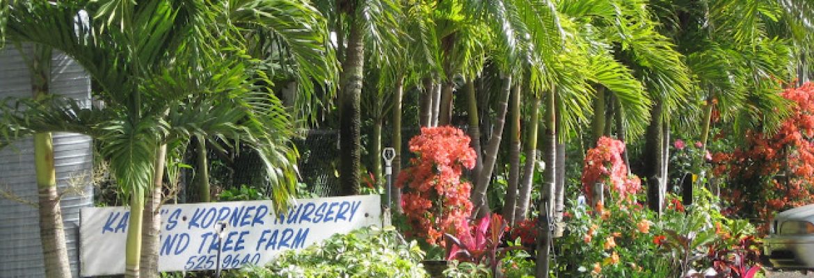Kathy’s Korner Nursery Inc