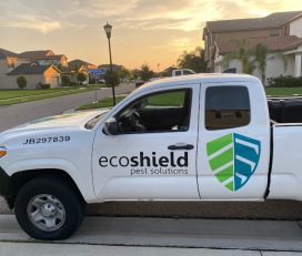EcoShield Pest Solutions
