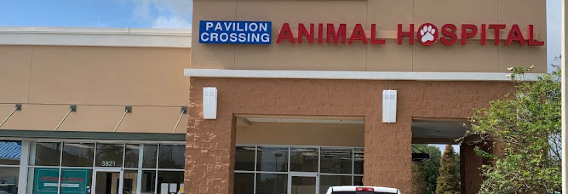 Pavilion Crossing Animal Hospital & Grooming