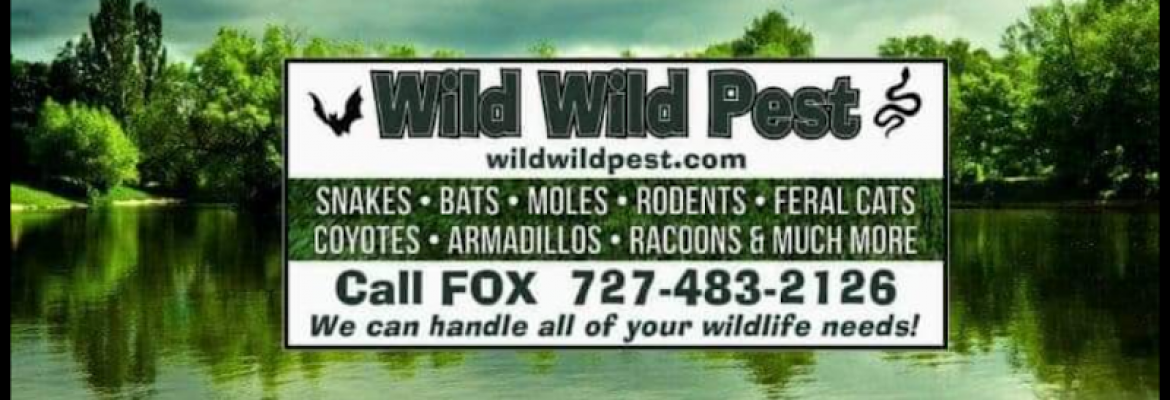 Wild Wild Pest Florida