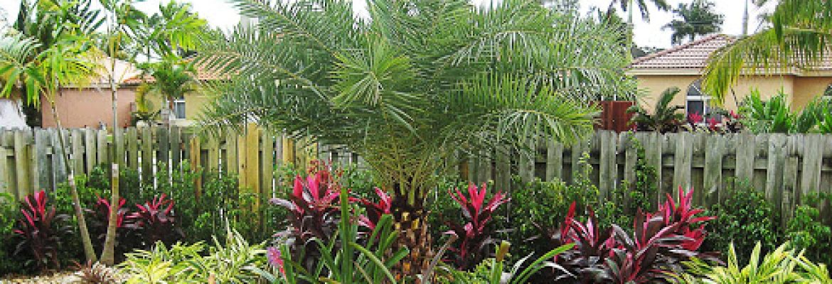 Landscape By Design