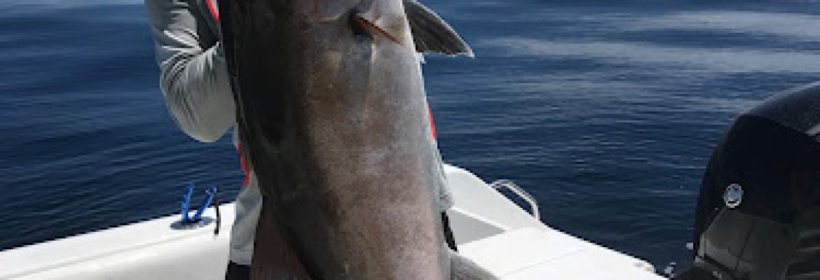 Tampa Bay FL Fishing Charters, Fishing Charters Tampa Bay FL, Deep Sea Fishing Tampa FL, Fishing Charters Tampa FL, Fishing Charter Tampa Bay FL, Tampa FL Fishing Boats, Deep Sea Fishing Tampa Bay FL