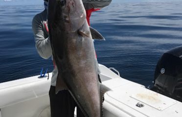 Tampa Bay FL Fishing Charters, Fishing Charters Tampa Bay FL, Deep Sea Fishing Tampa FL, Fishing Charters Tampa FL, Fishing Charter Tampa Bay FL, Tampa FL Fishing Boats, Deep Sea Fishing Tampa Bay FL