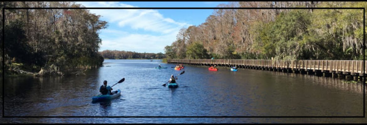 Sandy Feet Mobile Kayak Rental & Tours