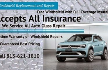 New World Auto Glass