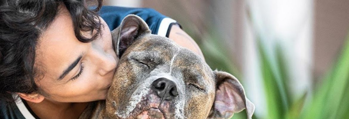 Banfield Pet Hospital