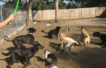 The Barkery Boarding and Daycare Inc.