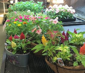 Grace’s Hydro Organic Garden Center