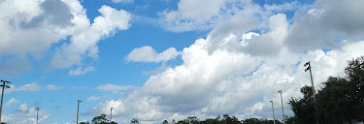 Motorcycle Dealers In Tampa FL, ATV Dealers Tampa FL, Horseback Riding Tampa FL, Tubing In Tampa FL, Motorcycle Dealers St. Petersburg FL, ATV Dealers St. Petersburg FL, Horseback Riding St. Petersburg FL, Tubing In St. Petersburg FL