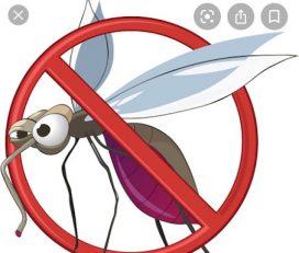 Buzz Off Mosquito Control