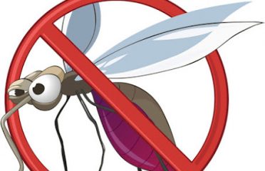Buzz Off Mosquito Control