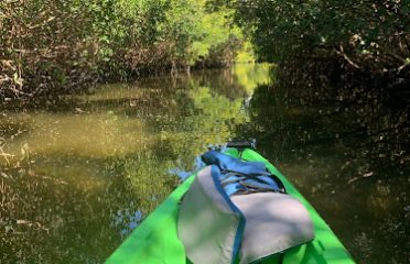 Kayak Nature Adventures