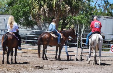 Sun City Stables