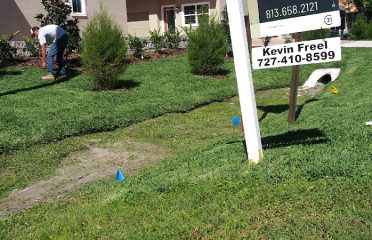 Blue seed Lawn Services