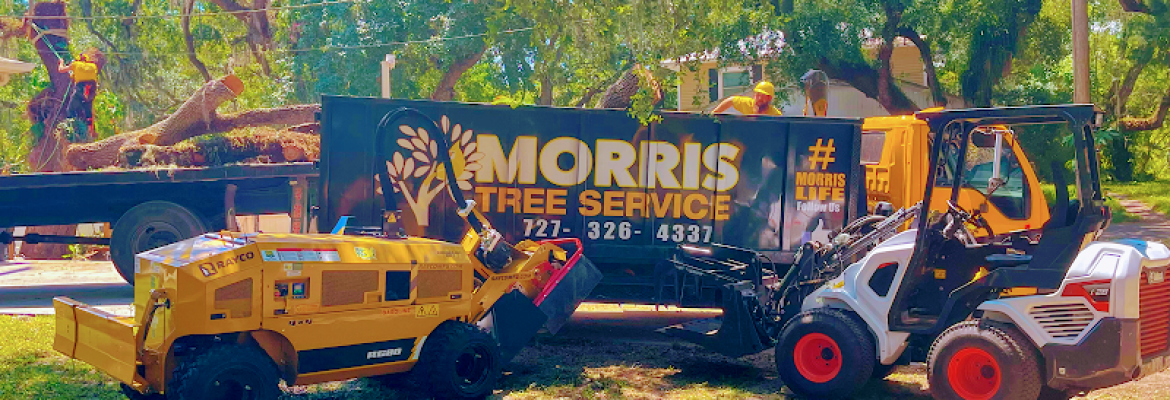 Morris Tree Service