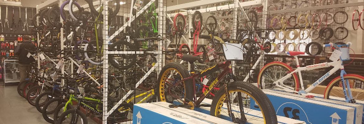 Motorcycle Dealers In Tampa FL, ATV Dealers Tampa FL, Horseback Riding Tampa FL, Tubing In Tampa FL, Motorcycle Dealers St. Petersburg FL, ATV Dealers St. Petersburg FL, Horseback Riding St. Petersburg FL, Tubing In St. Petersburg FL