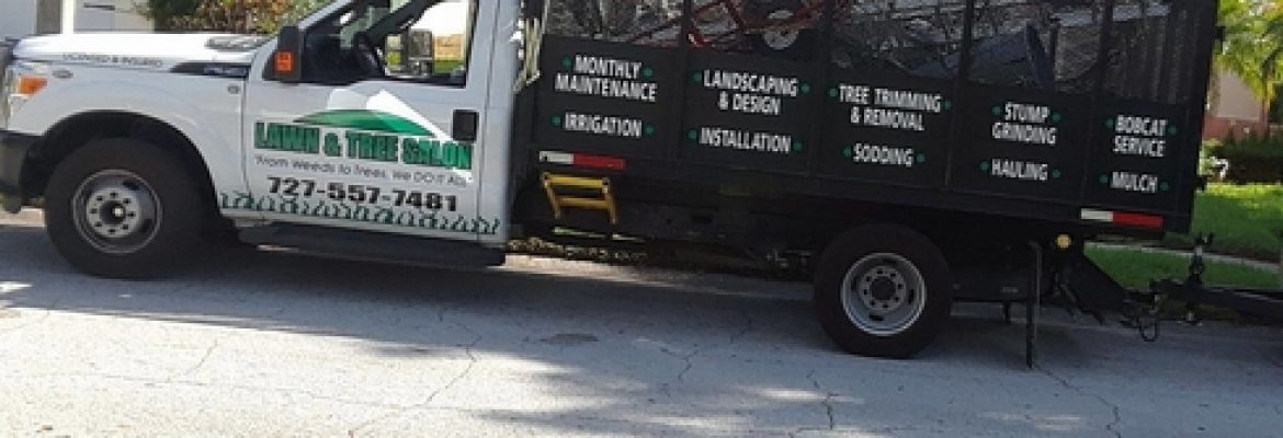 Lawn and Tree Salon