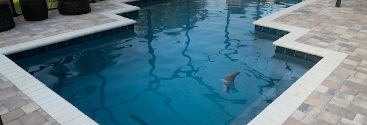 Wahoo Pools – Tampa