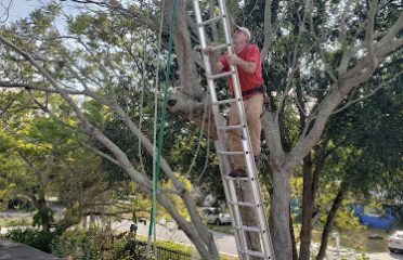 Walter Maloney’s Tree Service