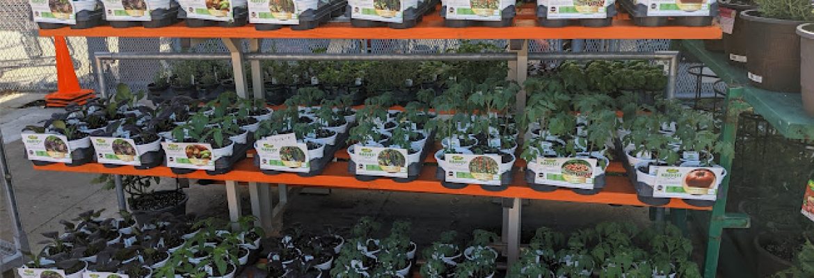 The Home Depot