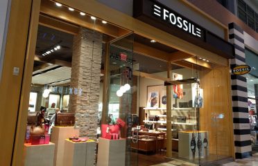 Jewelry Stores In Tampa FL, Jewelry Tampa FL, Jewelers In Tampa FL, Watches In Tampa FL, Engagement Rings In St. Petersburg FL, Earrings In St. Petersburg FL, Jewelers In St. Petersburg FL