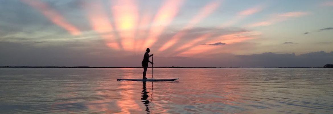 Clearwater Paddleboard Tours & Lessons