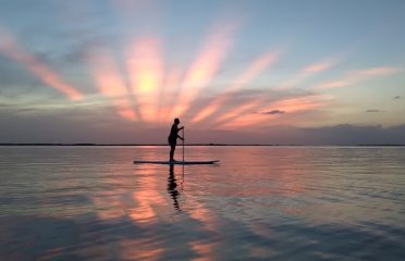 Clearwater Paddleboard Tours & Lessons