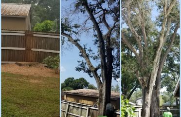Prime Time Tree and Property Maintenance