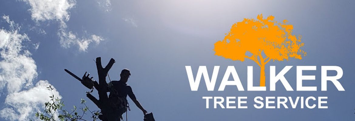 Walker Tree Service