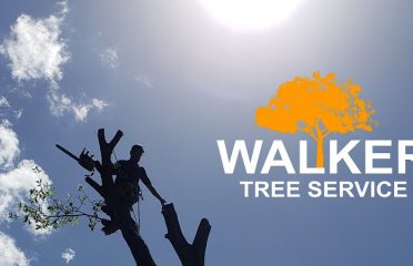 Walker Tree Service