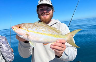Tampa Bay FL Fishing Charters, Fishing Charters Tampa Bay FL, Deep Sea Fishing Tampa FL, Fishing Charters Tampa FL, Fishing Charter Tampa Bay FL, Tampa FL Fishing Boats, Deep Sea Fishing Tampa Bay FL